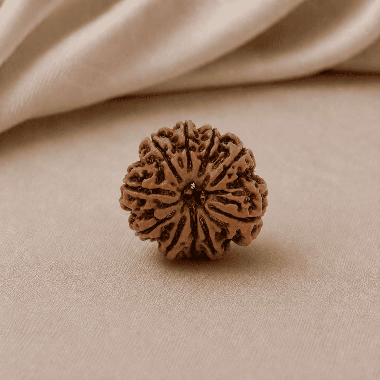 10 Mukhi