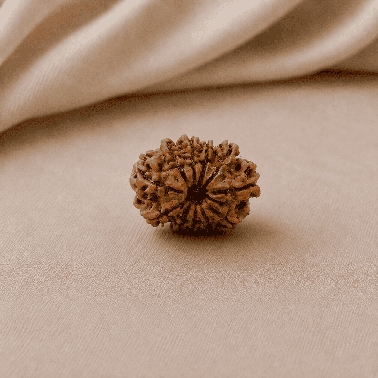 11 Mukhi