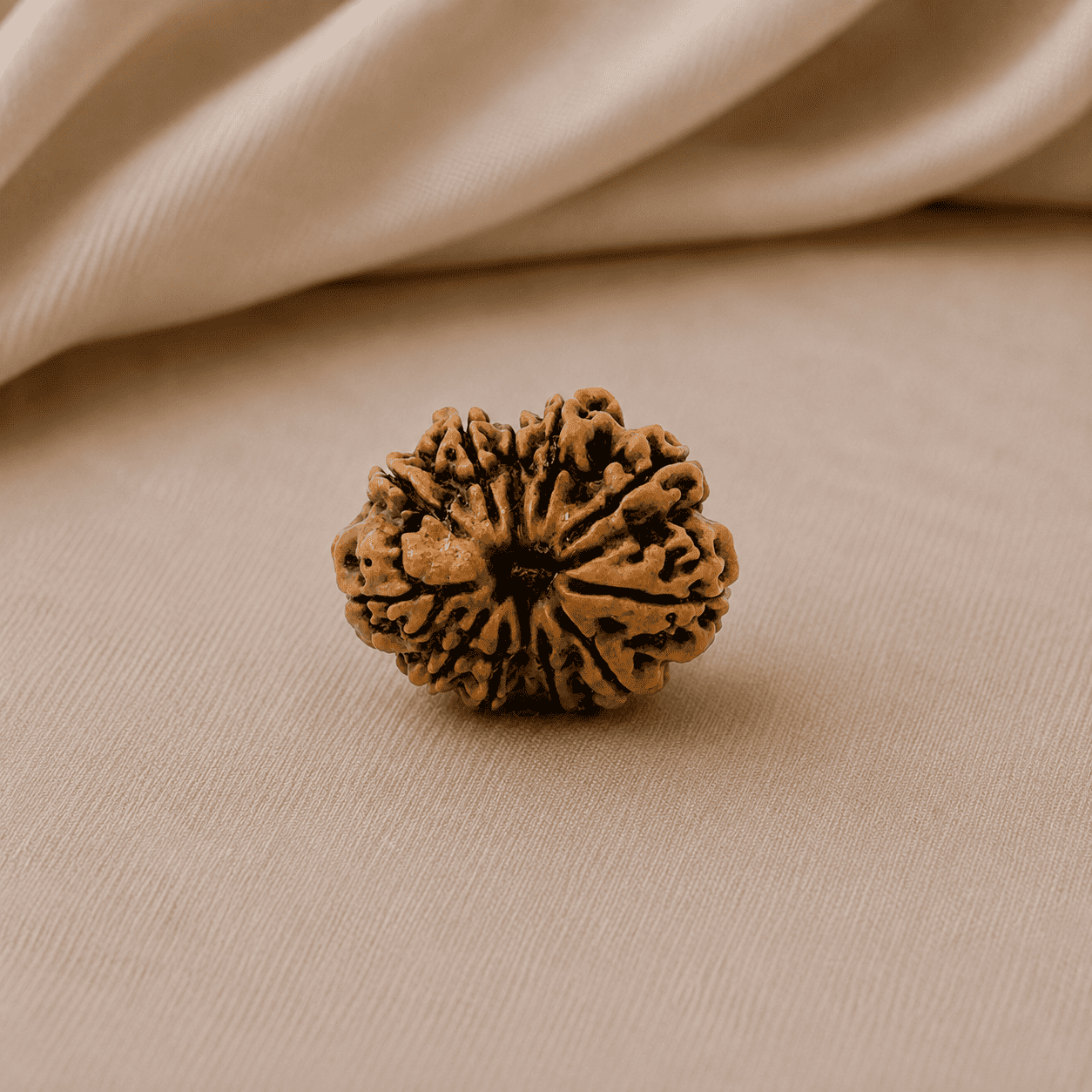 12 Mukhi