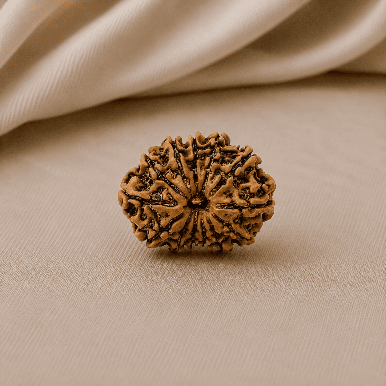 13 Mukhi