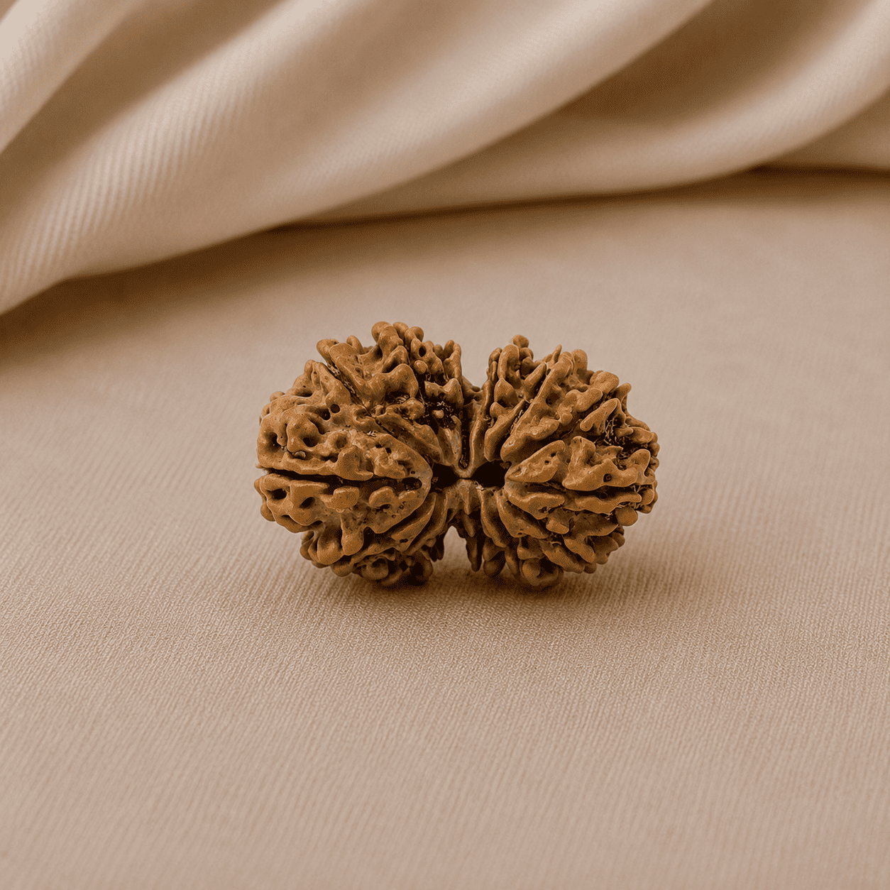 14 Mukhi