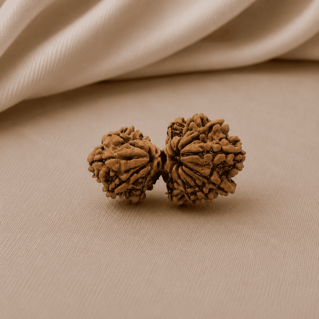 15 Mukhi