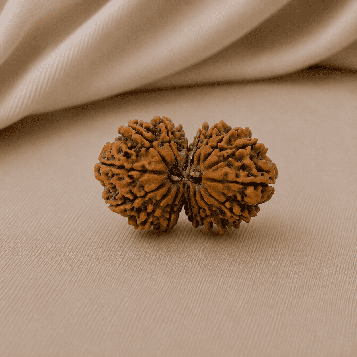 16 Mukhi