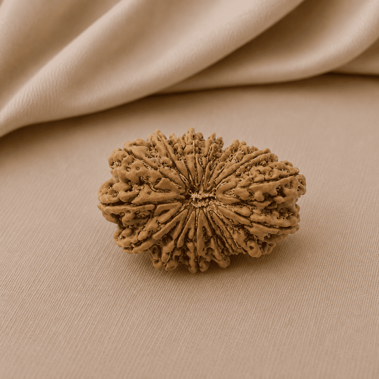 17 Mukhi
