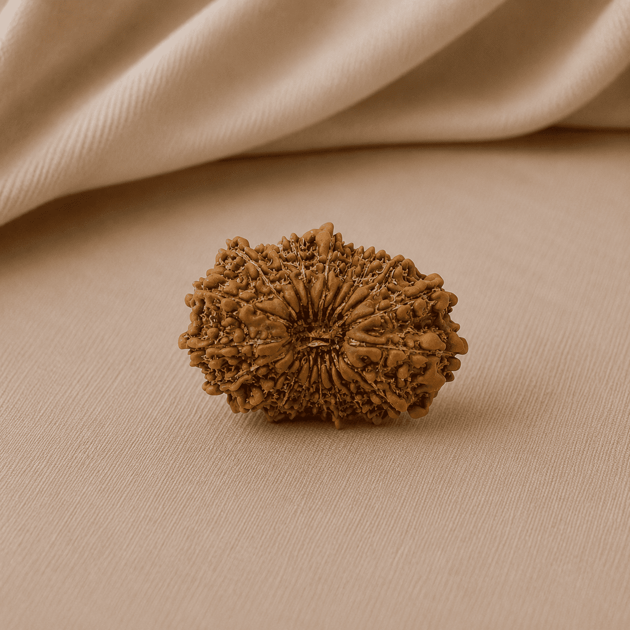19 Mukhi