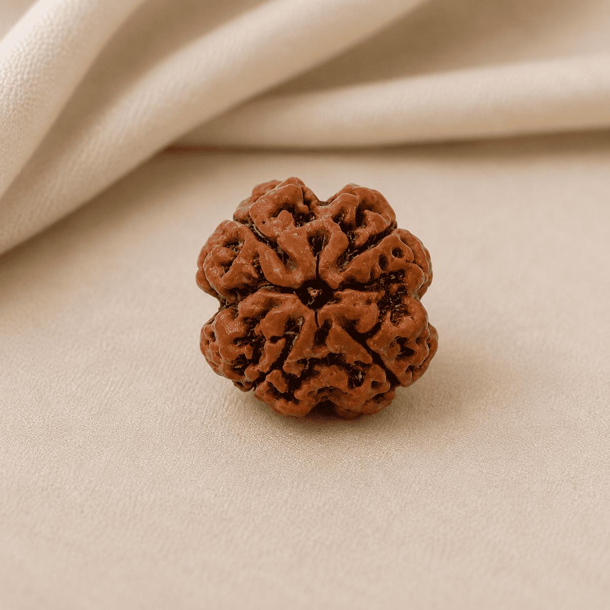 4 Mukhi