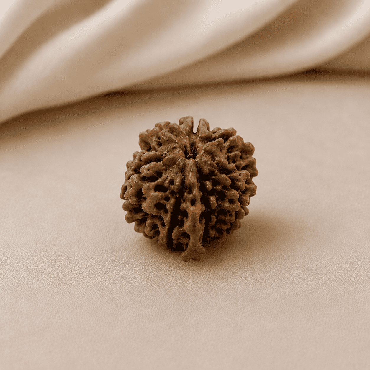 7 Mukhi