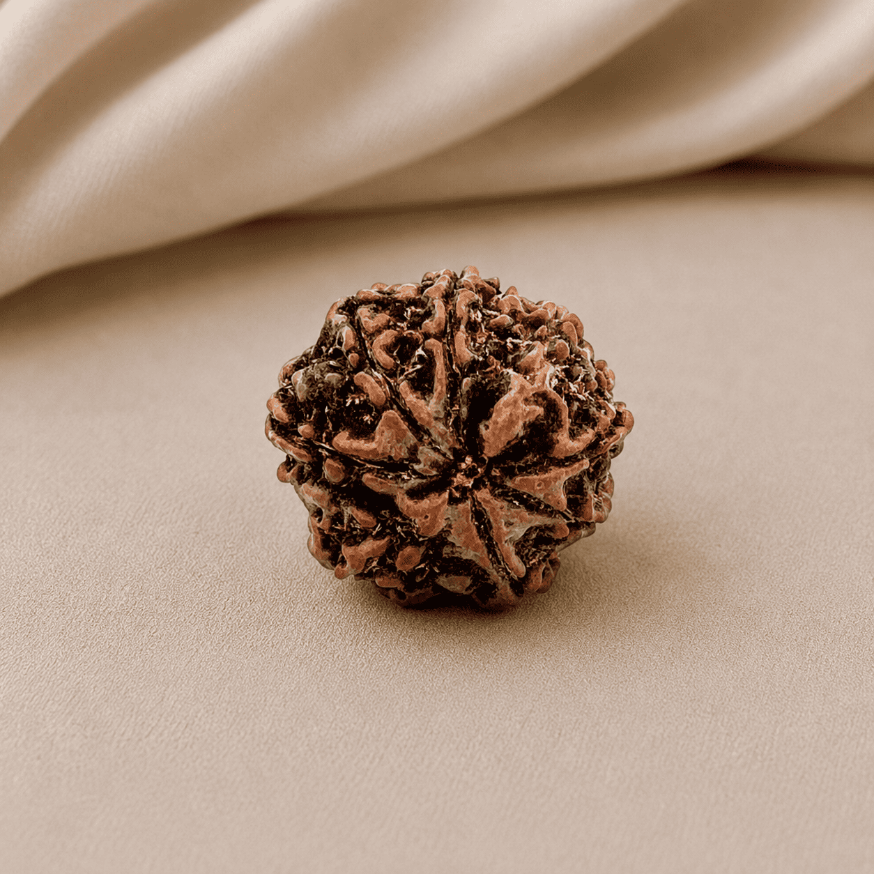 8 Mukhi