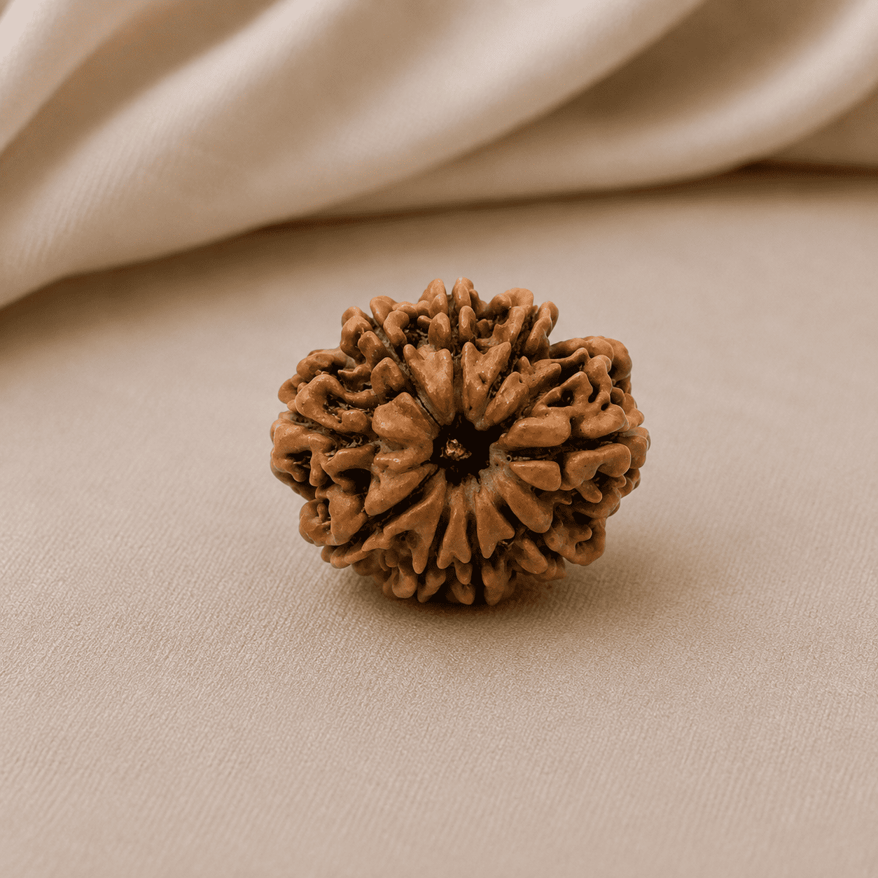 9 Mukhi