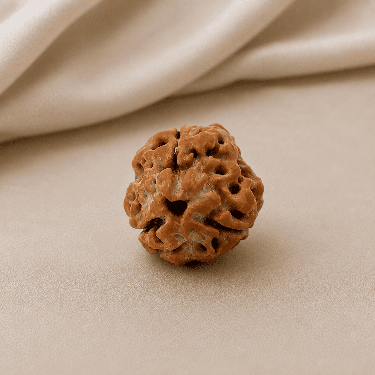 3 Mukhi