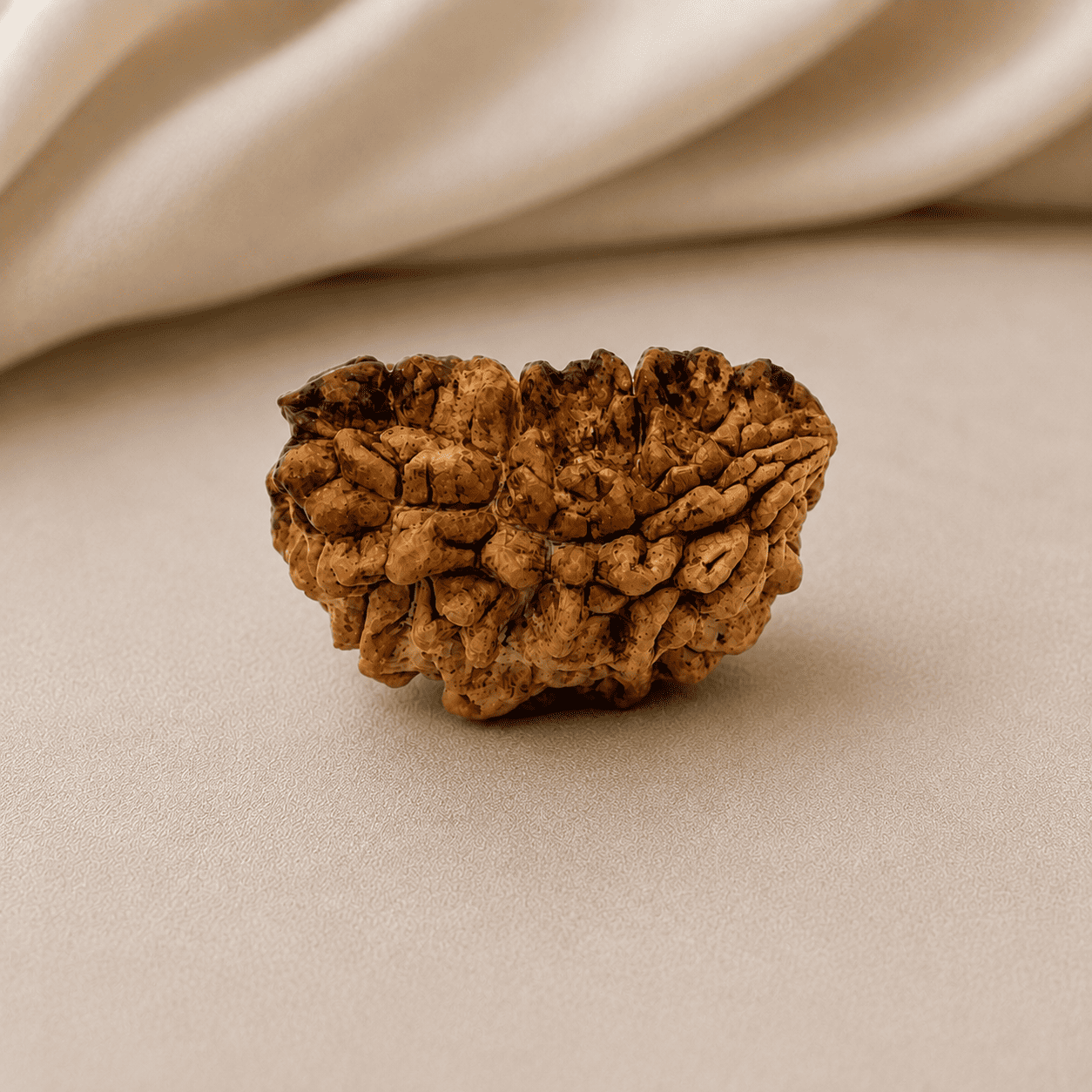 1 Mukhi
