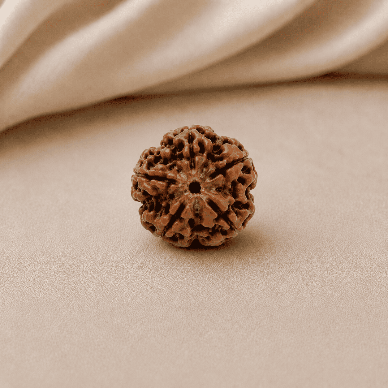 5 Mukhi