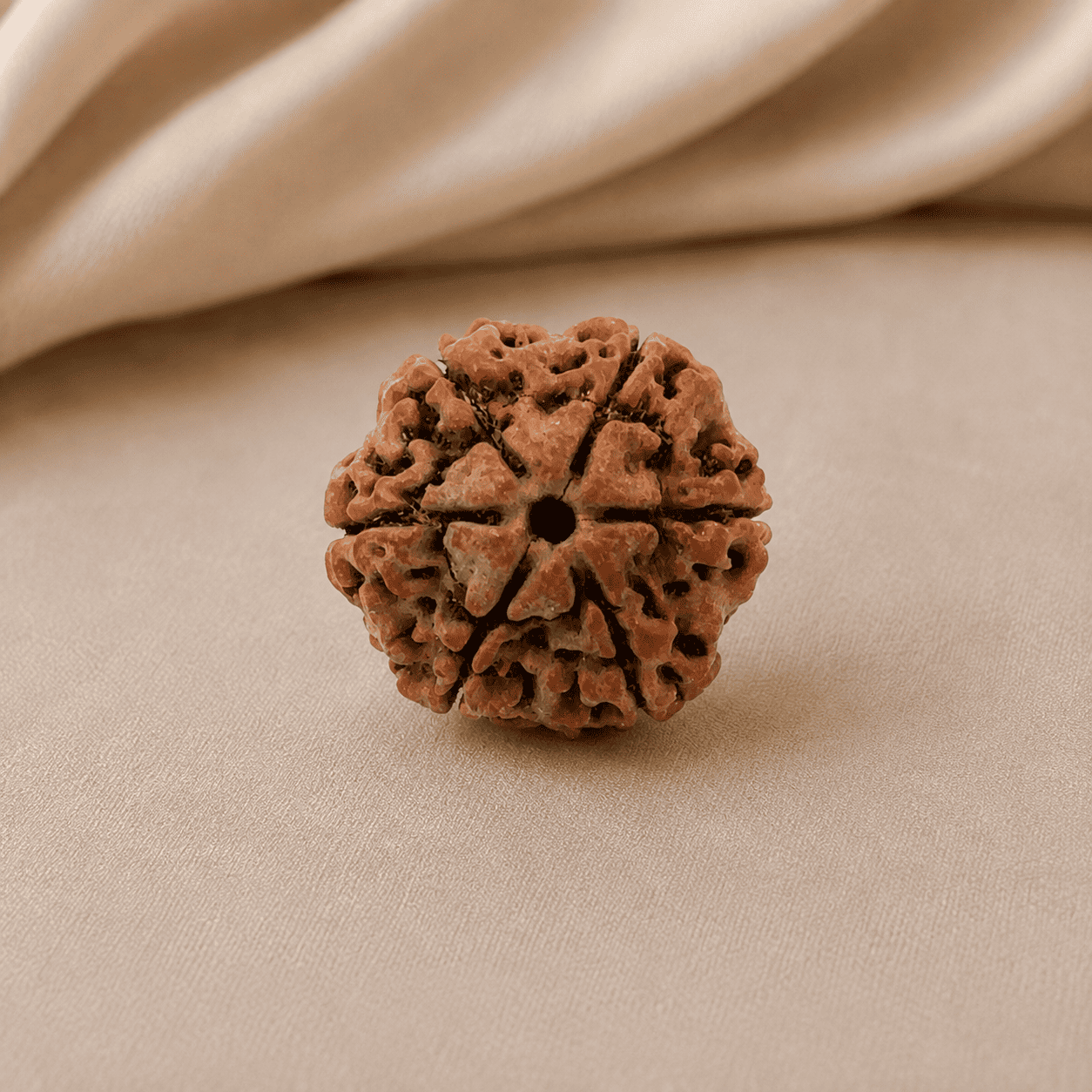 6 Mukhi