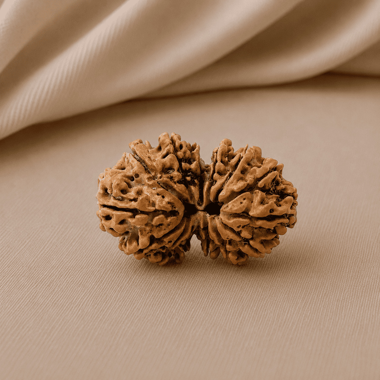 Gouri Shankar Rudraksha