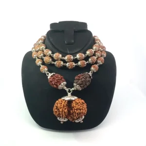 Gauri Shankar Rudraksha in Pure Silver Rudraksha Mala – Energized & Certified