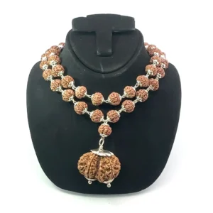 Gauri Shankar Rudraksha in Pure Silver Rudraksha Mala – Energized & Certified
